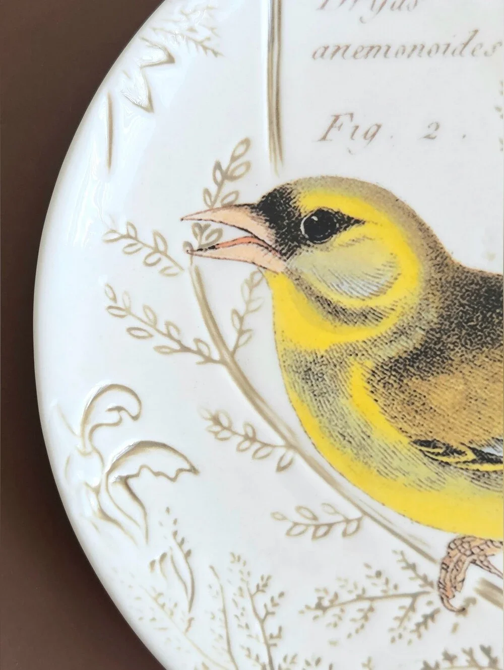 Pottery Barn Yellow Bird Botanical Salad Plate Stoneware Discontinued Vintage